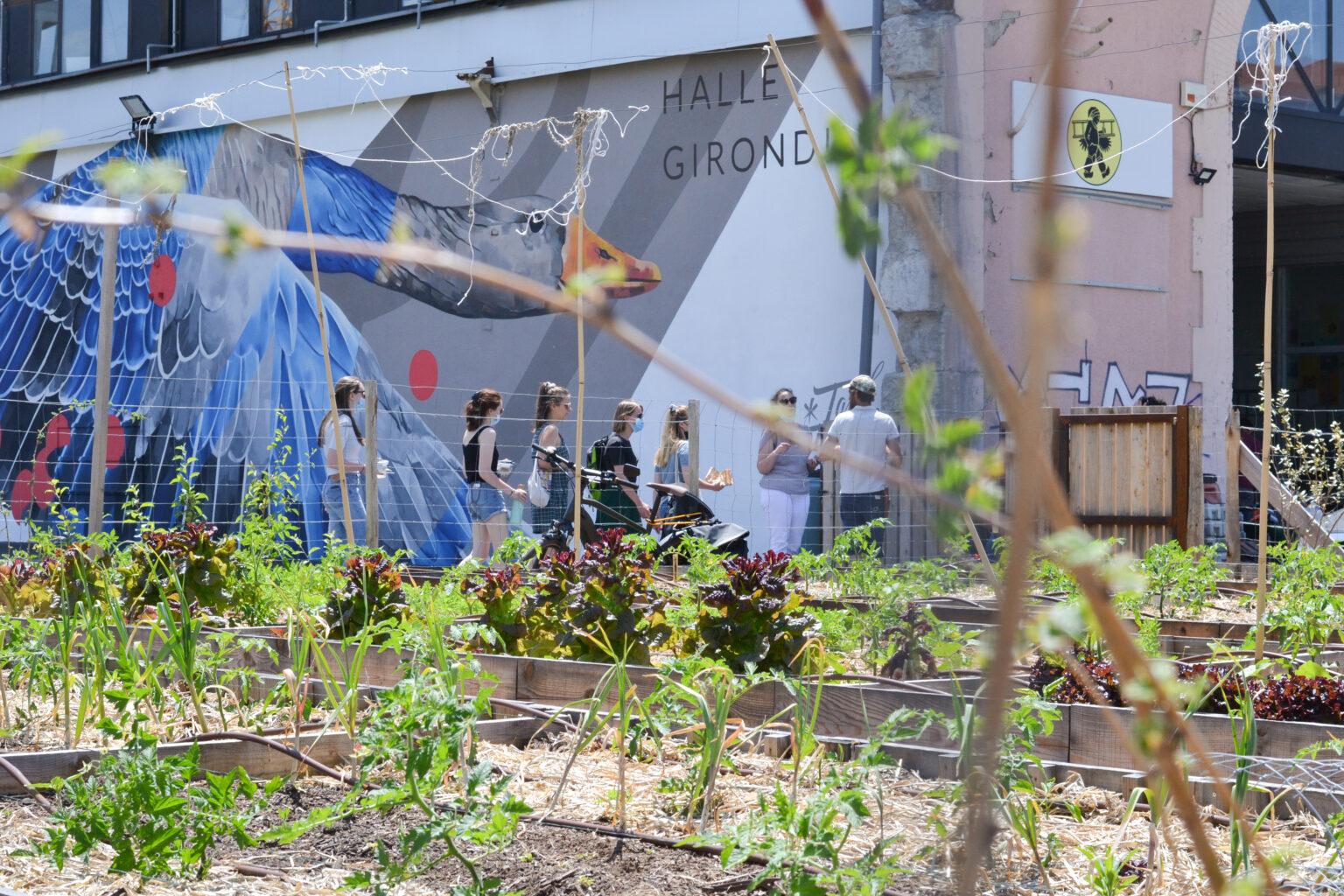 20210601_HD_EXT_HALLE_GIRONDINS_Jardin_Girondins_fresque_potager_mavilleverte_copyright_Sarah Missillier (2)